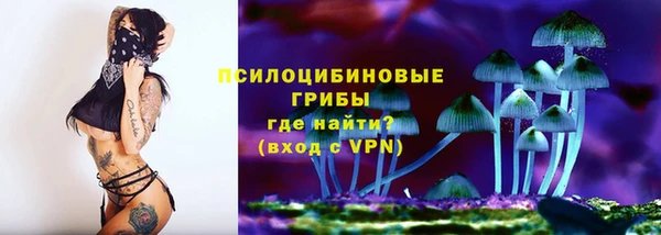 сатива Переславль-Залесский