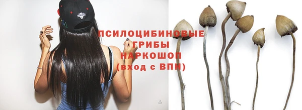 соль ск Пестово
