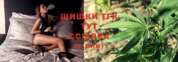 сатива Переславль-Залесский
