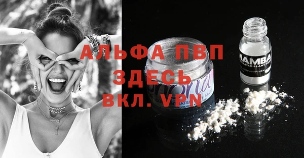 соль ск Пестово