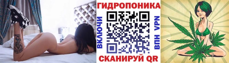 МАРИХУАНА конопля Купить где Электроугли